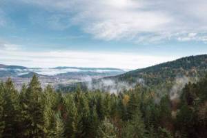 lane county oregon real estate